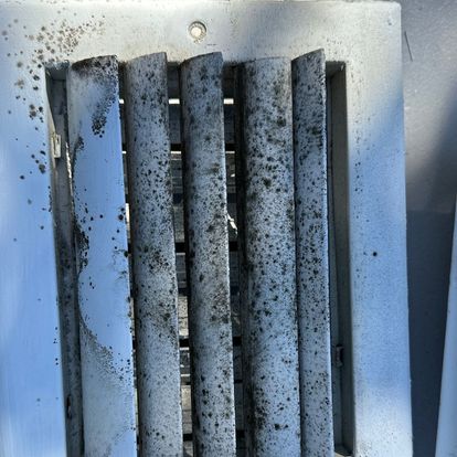 BATTING MOLD ON VENTS: EFFECTIVE SOLUTIONS AND PREVENTION TIPS 
