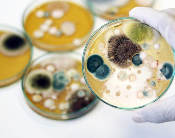 THE MOST COMMON PLACES YOUR HOME COULD BE HARBORING MOLD